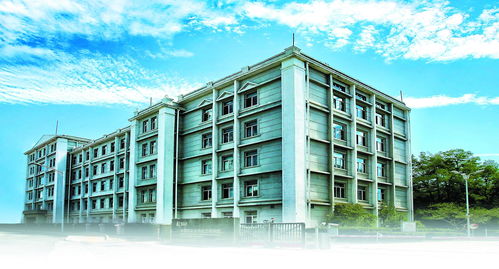 北京化工研究院 以科技創(chuàng)新為筆，在化工新材料沃土上繪就高質(zhì)量發(fā)展新圖景